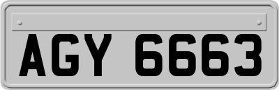 AGY6663