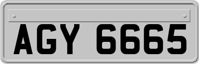 AGY6665