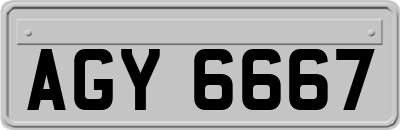 AGY6667