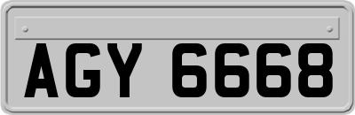 AGY6668