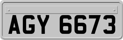 AGY6673