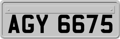 AGY6675