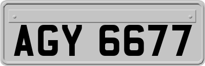 AGY6677