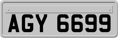 AGY6699