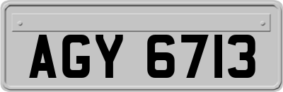 AGY6713