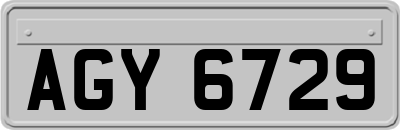AGY6729