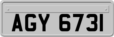AGY6731