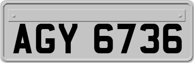 AGY6736