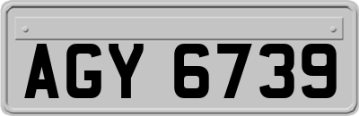 AGY6739