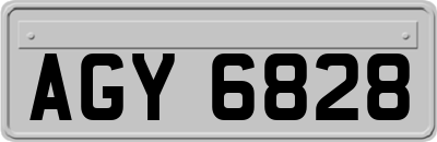 AGY6828