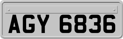AGY6836