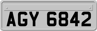 AGY6842