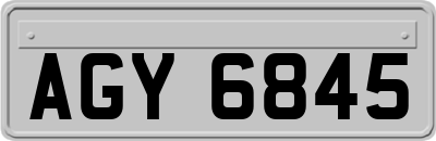 AGY6845