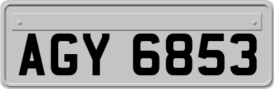 AGY6853