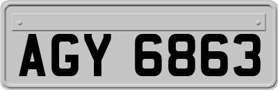 AGY6863