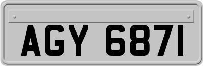 AGY6871