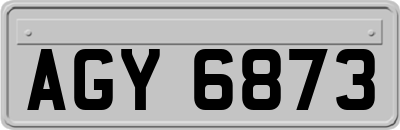 AGY6873