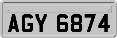 AGY6874