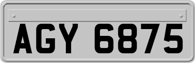 AGY6875