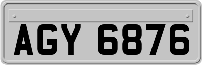 AGY6876