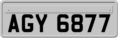 AGY6877
