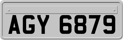 AGY6879