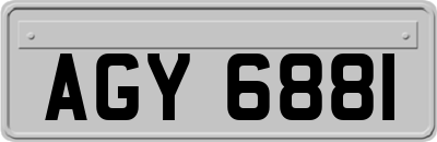 AGY6881