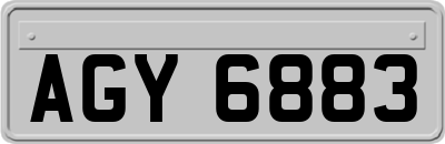 AGY6883