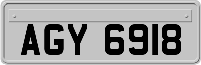 AGY6918