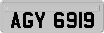 AGY6919