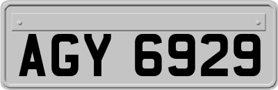 AGY6929