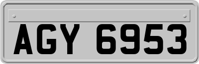 AGY6953