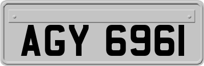 AGY6961
