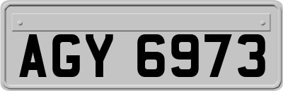 AGY6973