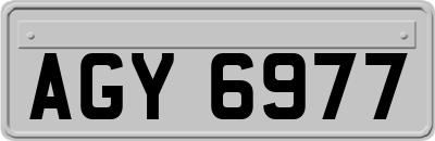 AGY6977