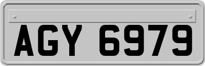 AGY6979