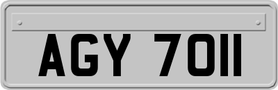 AGY7011