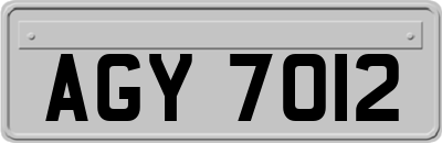 AGY7012