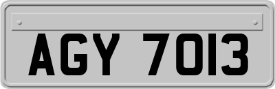 AGY7013