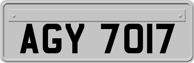 AGY7017