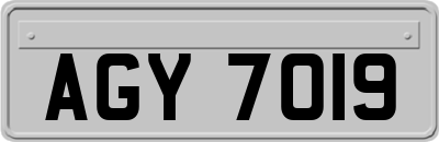 AGY7019