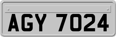 AGY7024