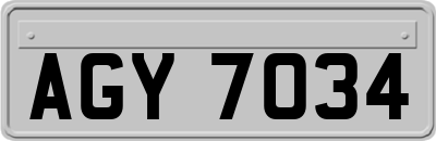AGY7034