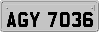 AGY7036