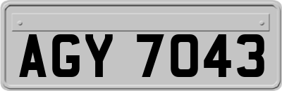 AGY7043