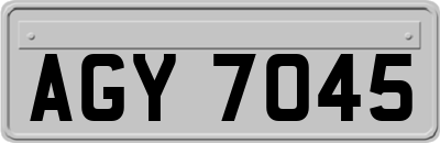 AGY7045