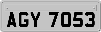 AGY7053
