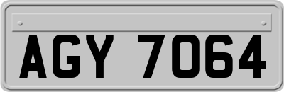AGY7064