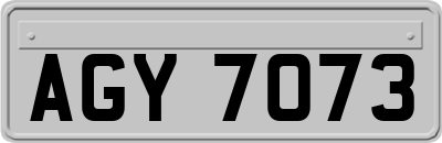 AGY7073