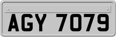 AGY7079